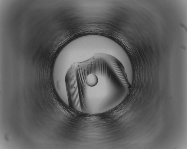 X0000097750411200804041107