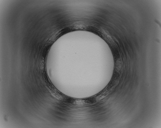 X0000097750413200804041107