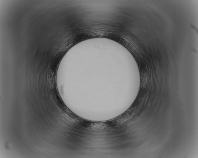 X0000097750414200804041107