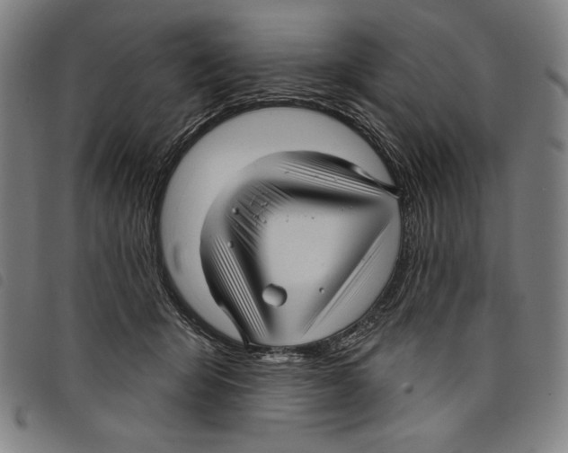 X0000097750415200804041107