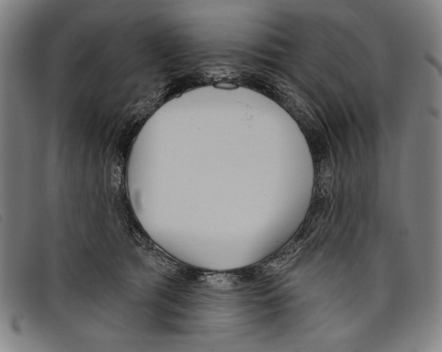 X0000097750417200804041107