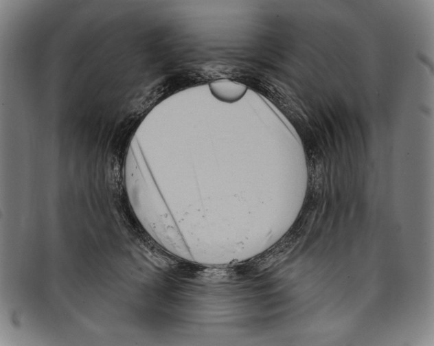 X0000097750418200804041107