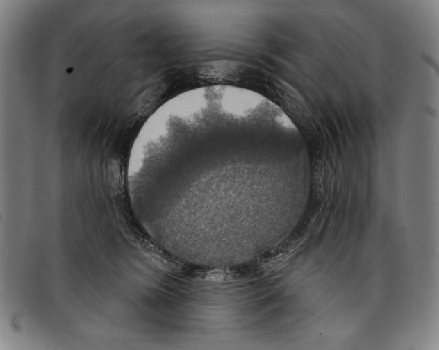 X0000097750420200804041107