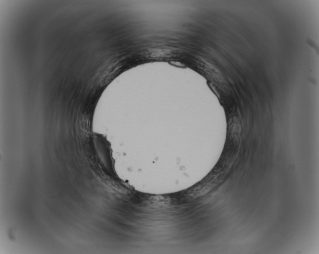 X0000097750421200804041107