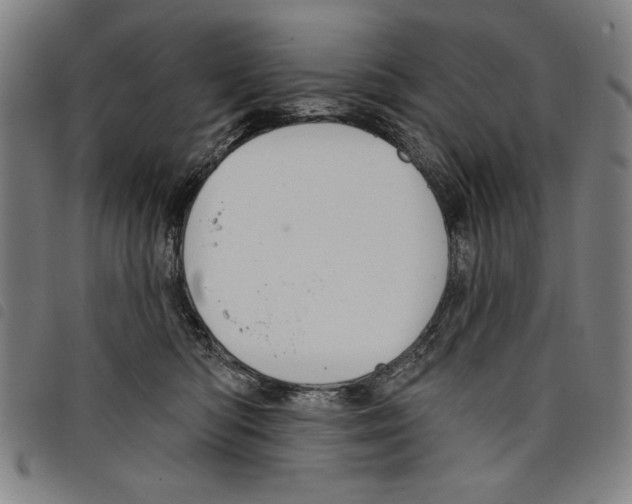 X0000097750422200804041107