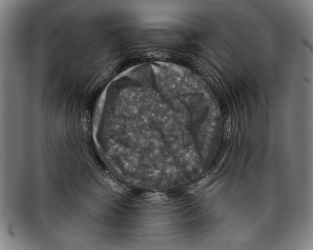 X0000097750424200804041107