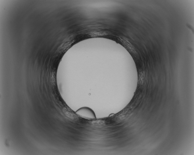 X0000097750426200804041107