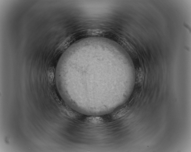 X0000097750427200804041107