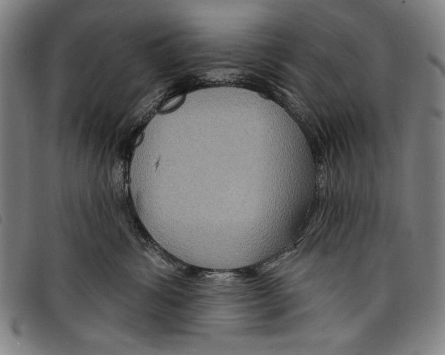 X0000097750428200804041107