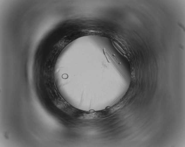 X0000097750430200804041107