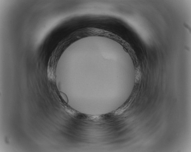 X0000097750431200804041107