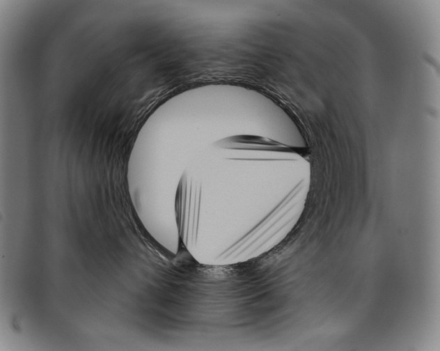 X0000097750432200804041107