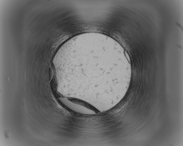 X0000097750433200804041106