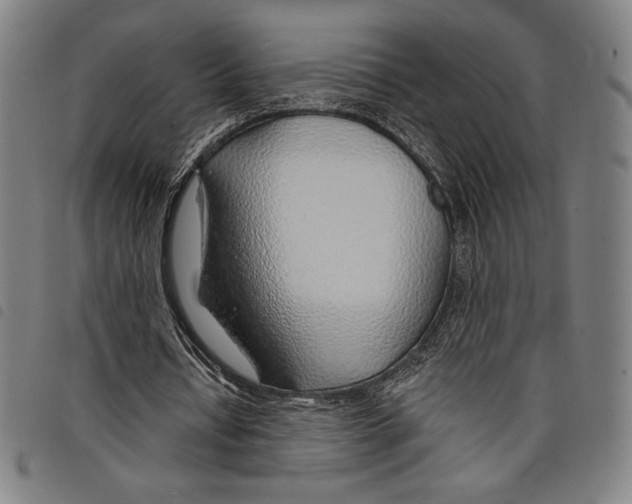 X0000097750434200804041106