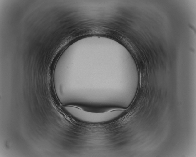 X0000097750435200804041106