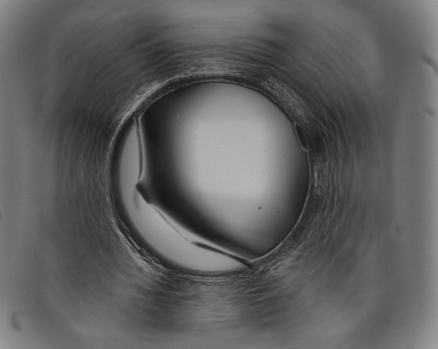 X0000097750436200804041106