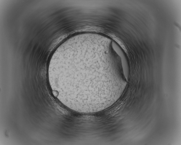 X0000097750437200804041106