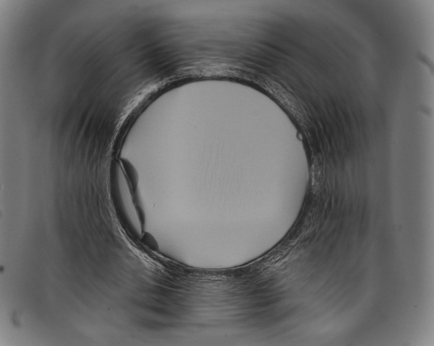 X0000097750438200804041106