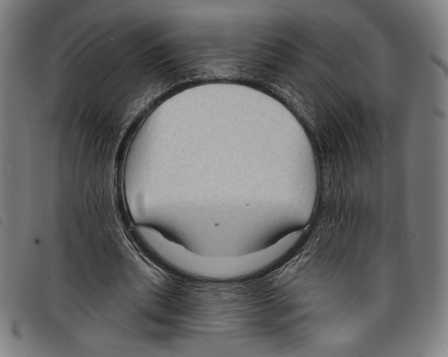 X0000097750439200804041106