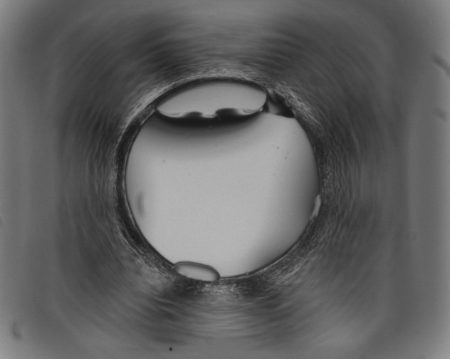 X0000097750440200804041106