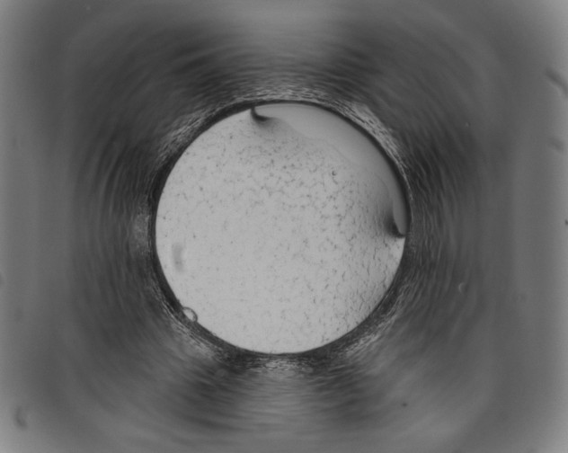 X0000097750441200804041106