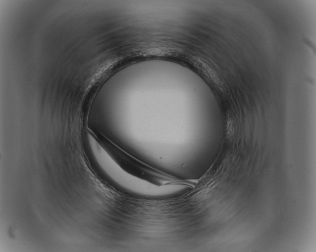 X0000097750444200804041106