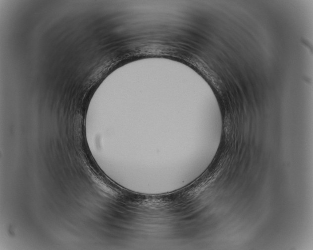 X0000097750445200804041106