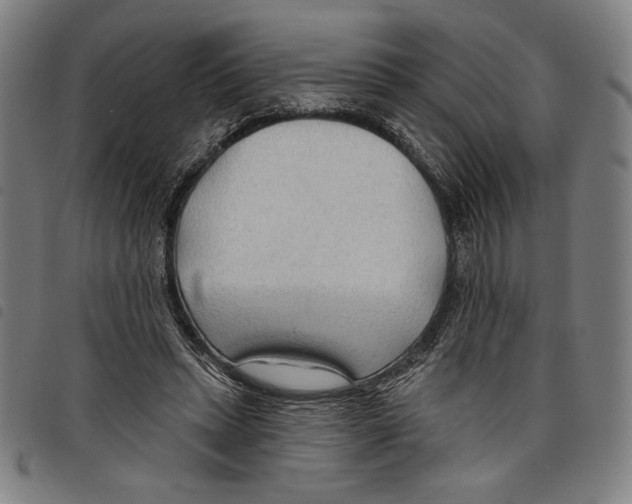 X0000097750447200804041106