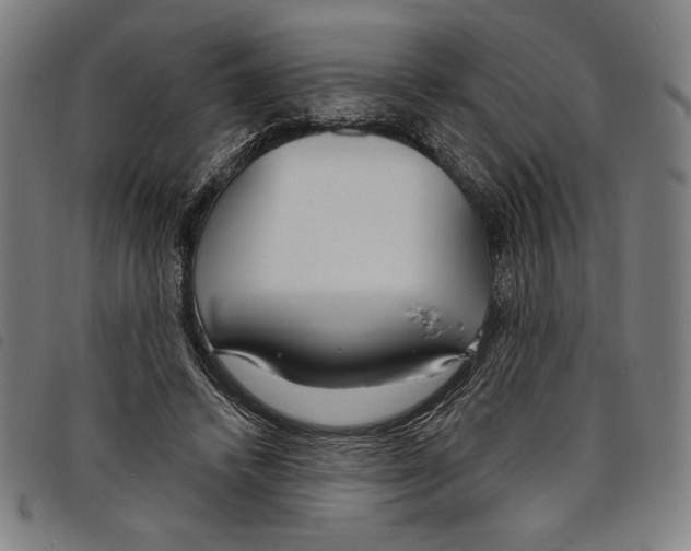 X0000097750448200804041106