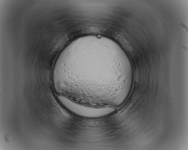 X0000097750449200804041106