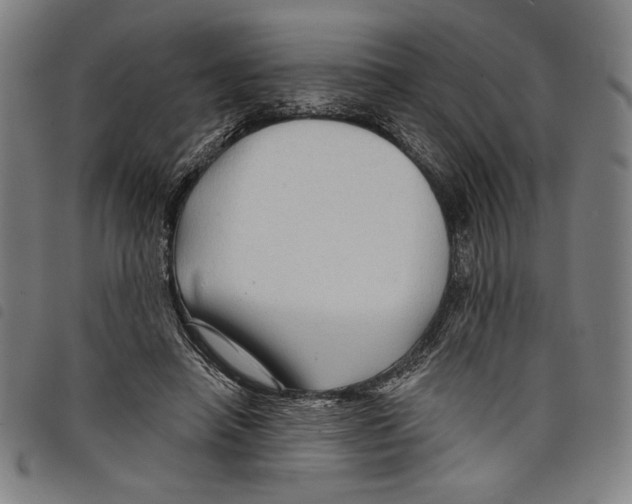 X0000097750450200804041106