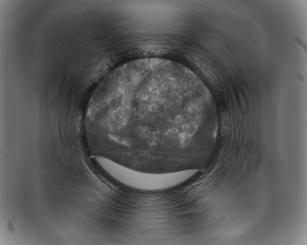 X0000097750451200804041106