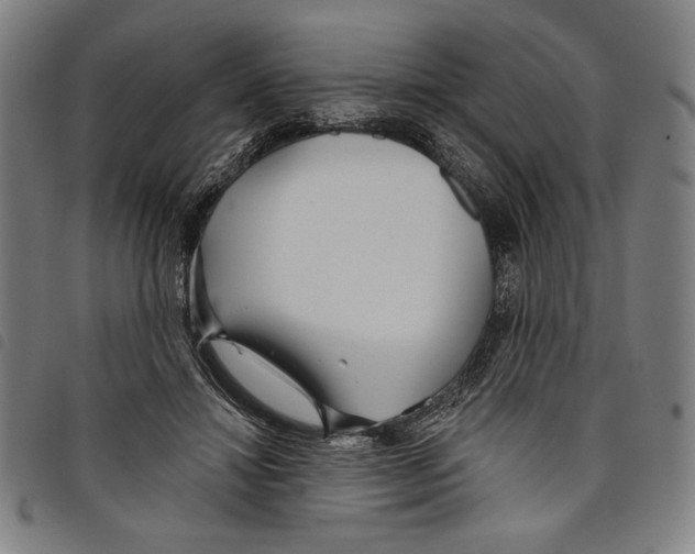 X0000097750452200804041106