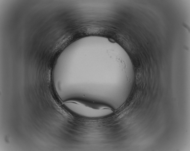 X0000097750454200804041106