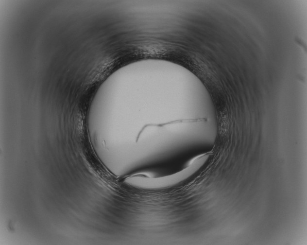 X0000097750456200804041106