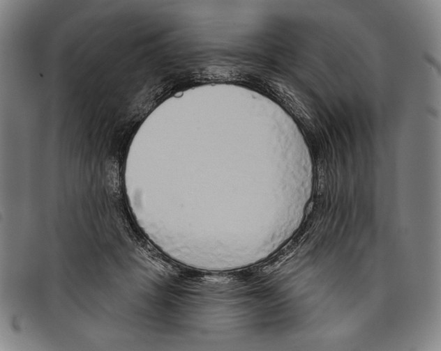 X0000097750457200804041106