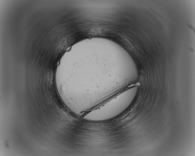 X0000097750458200804041106