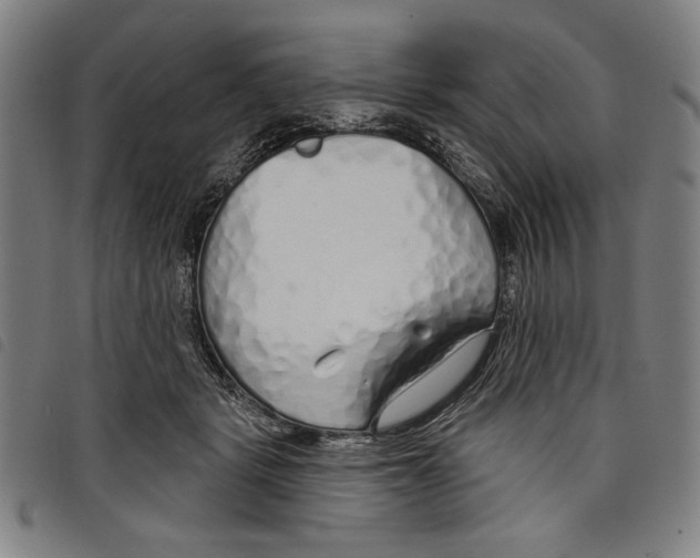 X0000097750461200804041107