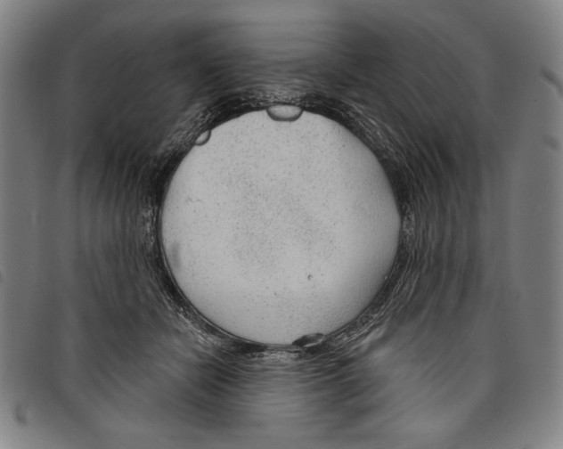 X0000097750462200804041107