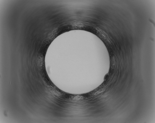 X0000097750463200804041107