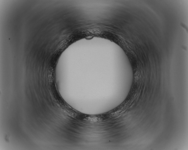 X0000097750464200804041107