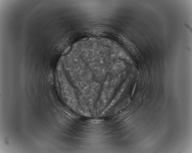 X0000097750465200804041107