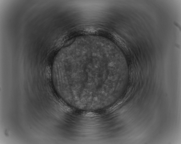 X0000097750467200804041107