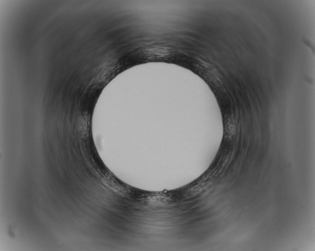 X0000097750468200804041107