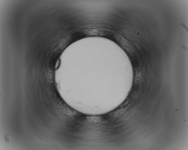 X0000097750469200804041107