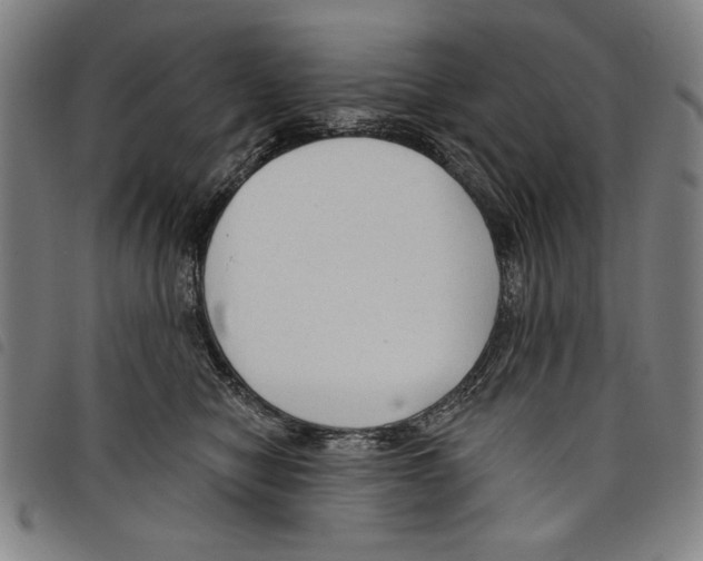 X0000097750470200804041107