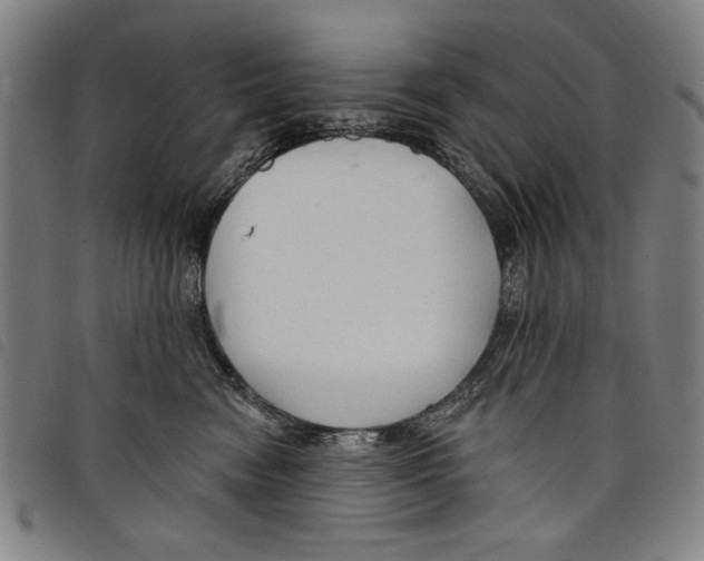 X0000097750474200804041107