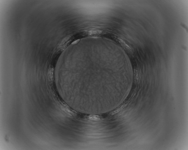 X0000097750475200804041107