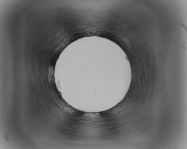 X0000097750480200804041107