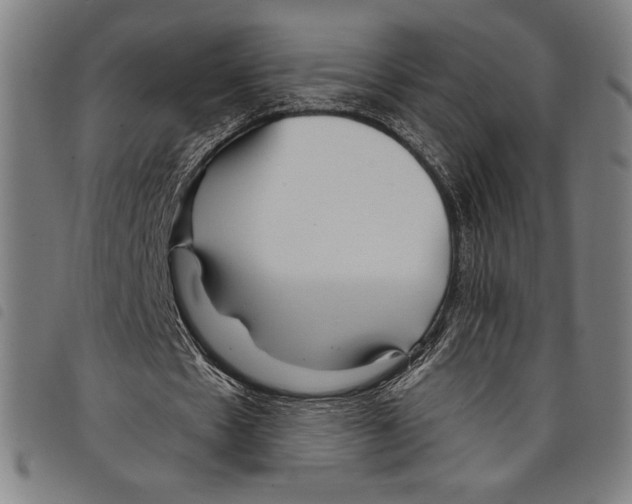 X0000097750481200804041106